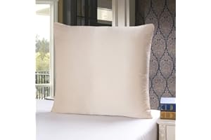 townssilk Housse d'oreiller en Soie de mûrier 100% 19mm sur Les Deux côtés de,pour la santé des Cheveux et de la Peau, Taille 50x50cm avec Fermeture éclair cachée, Taupe