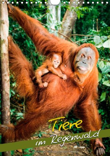 Tiere im Regenwald (Wandkalender 2013 DIN A2 hoch): Leben in der grünen Hölle (Monatskalender, 14 Seiten)