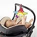 Baby Einstein Caterpillar and Friends Play Gym