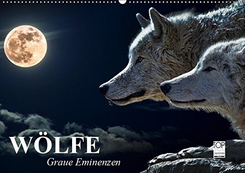 Wölfe. Graue Eminenzen (Wandkalender 2019 DIN A2 quer): Isegrim zwischen Wahrheit und Märchenwelt (Monatskalender, 14 Seiten ) (CALVENDO Tiere)