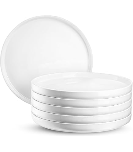 ASSIETTE PLATE PORCELAINE BLANCHE EMULSION D27 - Maison De La Porcelaine