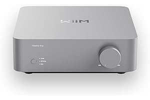 WiiM Vibelink Amp | 100W Power Amplifier with Premium ESS 9039Q2M DAC and TI TPA3255 | Compatible with WiiM Mini, Pro, Pro Plus, and Ultra | RCA, Coax, and Optical Inputs | Sliver