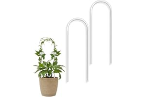 HOMEFURNISHMALL Lot de 2 treillis en acrylique transparent en forme de U pour plantes grimpantes, petit treillis pour plantes d'intérieur Hoya Pothos, lierre d'extérieur