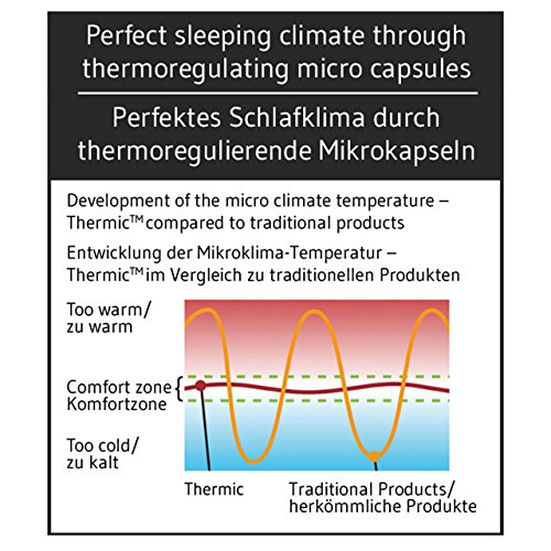 Nackenhörnchen ANDAR | Orthopädisches & ergonomisches Reisekissen | Viscoelastischer Schaum | Thermoregulierender Bezug | Kopfkissen/Nackenkissen für Reisen im Auto, Flugzeug, Zug | 30x26x13/10 cm - 7