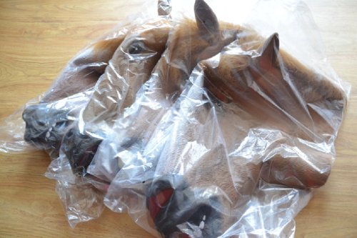 Latex Rubber Horse Head Mask Costume Halloween Gangnam Style Dance-One - 2