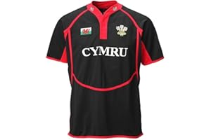 MANAV Adult New Cooldry Welsh Wales Sports Rugby Shirt Super Premium Casual Classic Rugby Wear Superlight Training Performance Shirts Gifts for Men