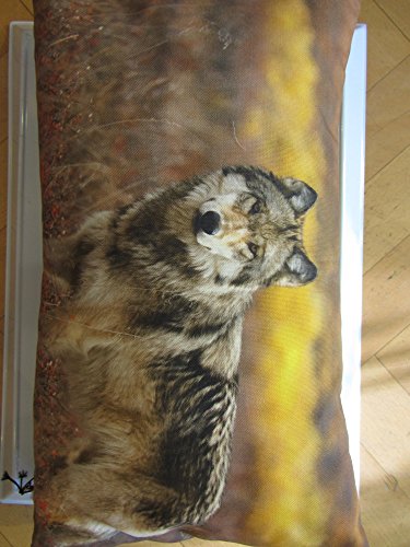 Preisvergleich Produktbild Proflax Kissenhülle Wolf 30x50cm