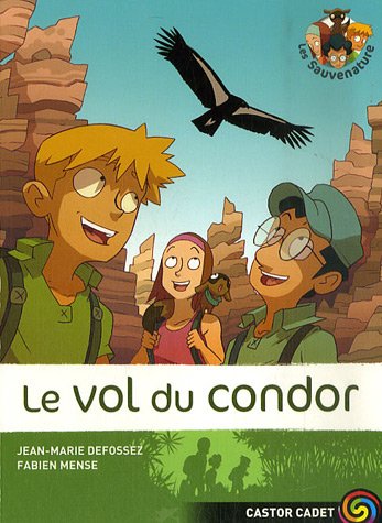 LE VOL DU CONDOR