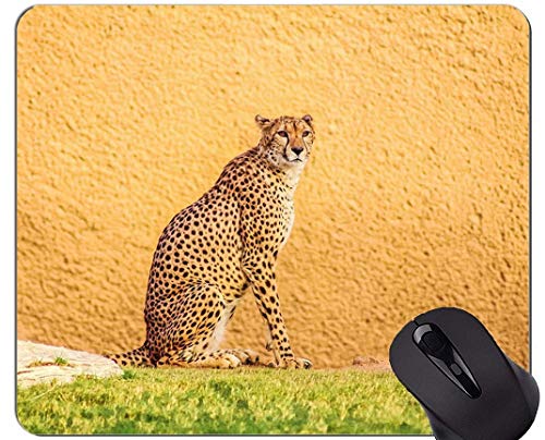 Preisvergleich Produktbild Mauspad Mit Rastkante, Naturkatzenfamilien-Leoparden-Mauspads