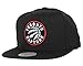 Produktbild Mitchell & Ness Toronto Raptors Wool Solid 2 NT78Z Snapback Caps Basecaps NBA