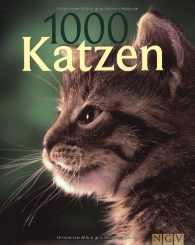 Download 1000 Katzen