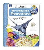 Wir entdecken Meerestiere (Wieso? Weshalb? Warum?, Band 27)