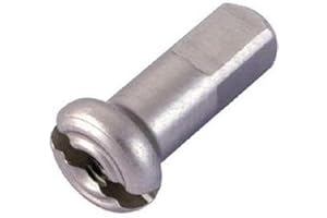 DT Swiss CAJA 100 CABECILLAS Standard Brass 2 x 12 mm PL 55265 Argenté