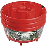 Garland Red Plant Halos - 3 Pack