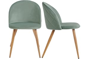 FurnitureR Juego de 2 sillas de comedor tapizadas de terciopelo, asiento de cojín de terciopelo y patas de metal de roble para sala de estar, cactus