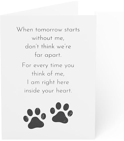Pet Sympathy Card - Paw Print Design Condolence Card For Loss Of Dog Or Cat