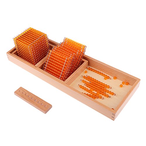 Sharplace Sfere Mille Cento Dieci Bambini Montessori Matematica Educativo Regalo Giocattolo Aritmetica Elementare Educazione