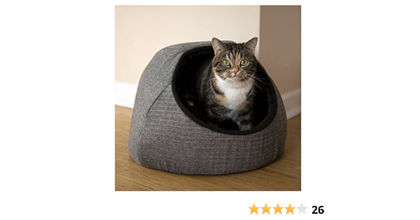 40 winks cat bed