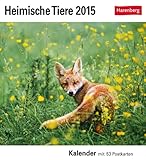 Heimische Tiere Postkartenkalender 2015: Kalender mit 53 Postkarten by 