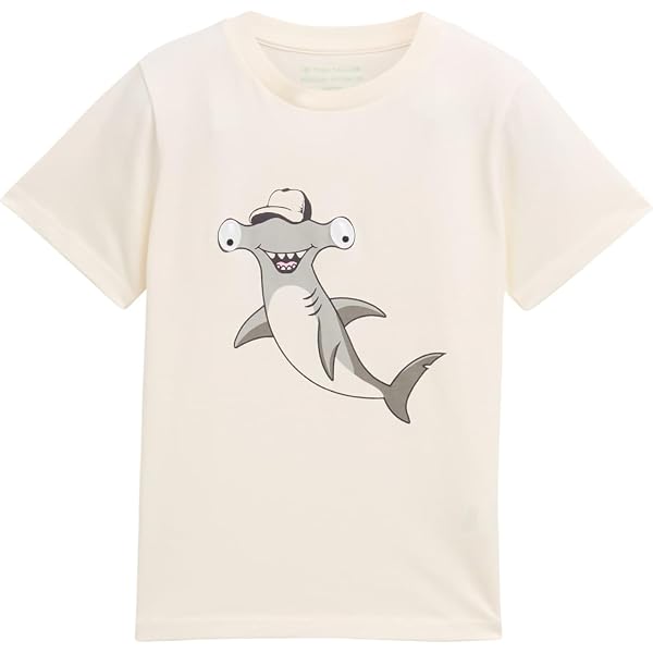 TOM TAILOR Jungen T-Shirt Mit Print, Kurzarm, Aus Baumwolle – Regular Fit, Mit Dino Oder Skateboard-Motiv