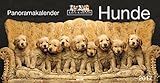 Hunde Keith Kimberlin: Panoramakalendern 2017 by