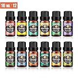 aceite esencial ylang ylang marnys Elija entre 1 de los 12 aceites esenciales naturales: eucalipto, incienso, lavanda, limoncillo, menta, romero, naranja dulce y árbol del té, ylang-ylang, bergamota, canela, hierba de limón.