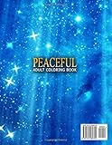 Image de PEACEFUL ADULT COLORING BOOK - Vol.14: relaxation coloring books for adults