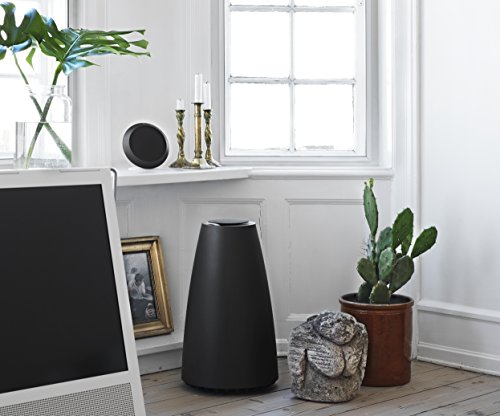 B&O Play BeoPlay S8 Stereolautsprechersystem (1 Subwoofer + 2 Satellitenlautsprecher) True Black
