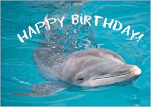 Im 5er Set: Happy Birthday - die Tier Foto Grußkarte mit Delfin: Amazon