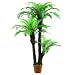 Produktbild Euro Palms 82509151 Farnpalme, 160 cm