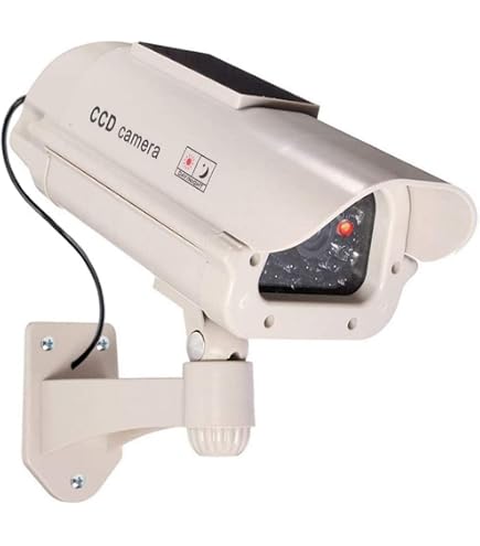 Caméra Factice Solaire Avec Détecteur De Mouvement Et Flash - Chacon - Sécurité Extérieure