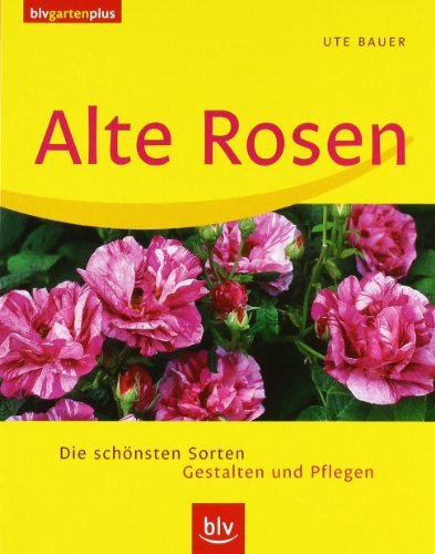 Download Alte Rosen: Die schönsten Sorten · Gestalten und Pflegen