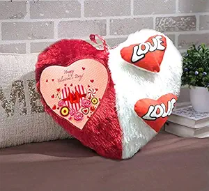 DreamVio Love Heart Shape Valentine Day Gift Fur Cushion,Plush Pillow for Gifting on Birthdays,Anniversaries Color - Red, White (Size- 17x17 inch) Shape 4
