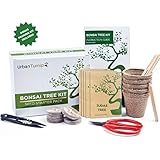 Bonsai Tree Kit Grow Your Own Bonsai Trees from Seeds - Gardening Gift Set Includes 5 Tree Species to Plant - Indoor Growing with Bonus Bonsai Tools Included