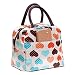 Koly Portable insulated Picnic Lunch Bag Tote Zipper Organizer Lunch Storages