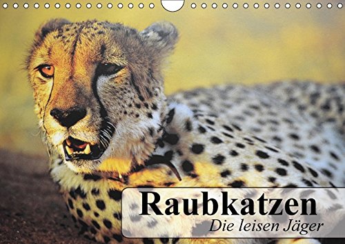 Raubkatzen. Die leisen Jäger (Wandkalender 2017 DIN A4 quer): Geschmeidige Eleganz auf samtigen Pfoten (Geburtstagskalender, 14 Seiten ) (CALVENDO Tiere)