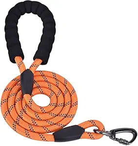 Dog Leash, PetVogue 5 FT Durable Nylon Dog Leash with Comfortable Padded Handle, Highly Reflective Threads for Small and Medium Dogs - Orange