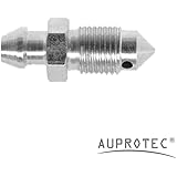 AUPROTEC 2 Stück Entlüfterschraube M10 x 1,0 Länge 29,9 mm Schlüsselweite 11 (Artikel Nr. 450039)