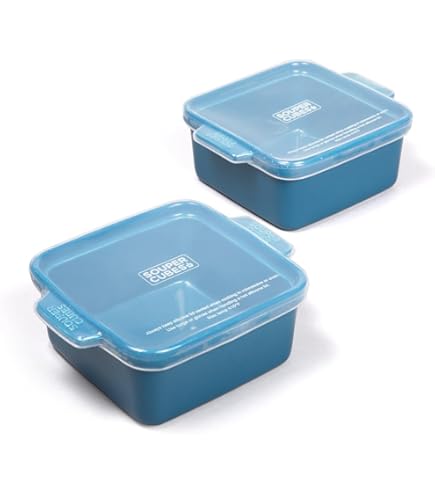 FURNSII Silicone Vassoio per Congelatore 250ML, Grandi Alimenti Stampo da Congelare con Coperchio Senza BPA per Cibi Zuppa Stufati, 2 Pezzi Vassoio di Congelamento Porzioni (BLU, 250 ML