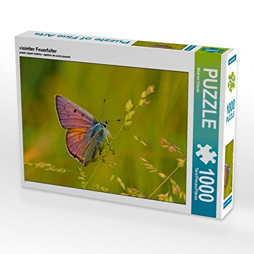 Preisvergleich Produktbild violetter Feuerfalter 1000 Teile Puzzle quer (CALVENDO Tiere)
