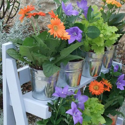 Plant Theatre – Das Zinktopf-Set, der perfekte Begleiter für das Plant Theatre - 3