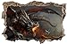 Produktbild Drachen Krieger Kampf Wandtattoo Wandsticker Wandaufkleber D1129 Größe 70 cm x 110 cm