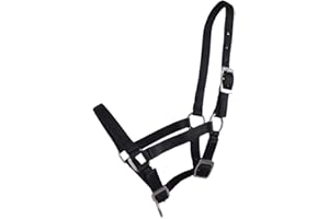 QHP Nylonhalfter Fohlen-Halfter 3fach verstellbar stark