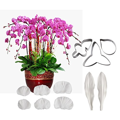 AK Art KITCHENWARE, stampi per pasta di zucchero, per fiori, foglie e petali, per taglio e venature, per decorazione torte Orchid