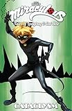 Miraculous: Tales of Ladybug and Cat Noir: Cataclysm by Jeremy Zag, Fred Lenoir