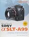 Produktbild David Busch's Sony aSLT-A99: Guide to Digital Slr Photography (David Busch's Digital Photography Guides)