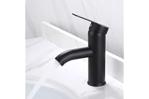 FALSKT Rubinetto Bagno Lavabo Acciaio Inossidabile 304, Miscelatore Cucina con Tubo Flessibile, Rubinetto Vasca da Bagno, Miscelatore Bagn per Lavandino, WC per Gli Ospiti (Nero)