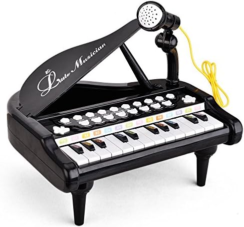 Baellar Piano Toy Keyboard 24 Keys Black Electronic Educational Musical Instrument with Microphone for Kids