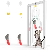 Jouet Interactif Chat Avec Canne Détachable Et Cataire - Anti-stress, Lavable, Pour Chats D'intérieur