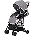 Produktbild 0-36 Monat Baby Hoch Landschaft Trolley Vier Jahreszeiten Universal Tragbare Trolley Faltbare Große Raum Kinderwagen Stoßfest Baby Trolley ( Farbe : Grau )